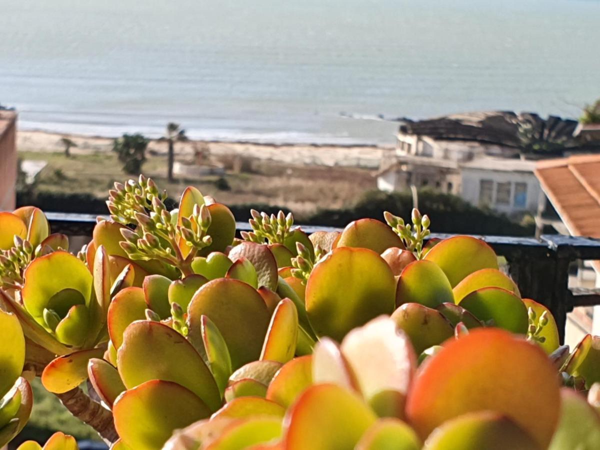 Lindos Bed & Breakfast Gela Dış mekan fotoğraf